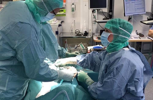 Ta ställning till donation – rädda liv!